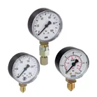 Manometer mit 0–600 bar